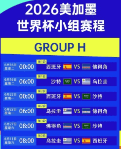 2026世界杯比赛画面